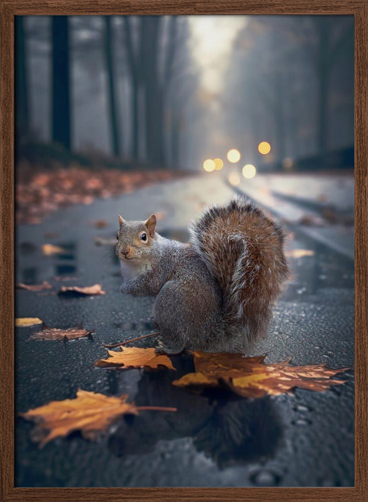 AutumnSquirrel Poster