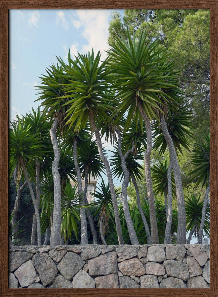 Palm trees on Ibiza Poster