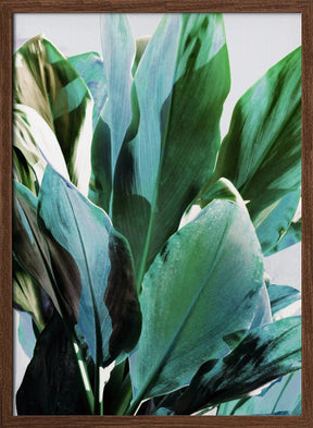 Green Leaves I Poster