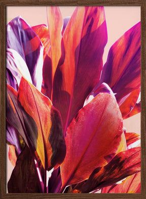 Fuchsia Leaves I Poster