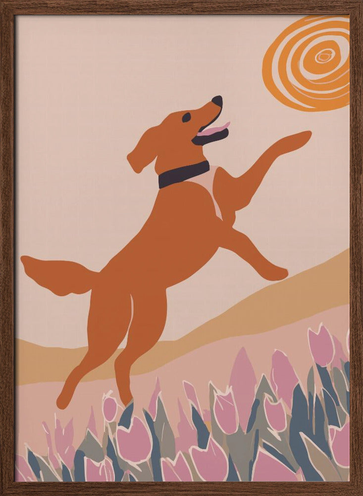 Frisbee Dog Poster