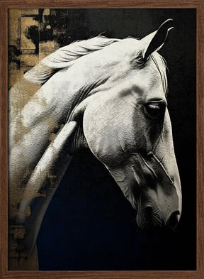 White horse Poster