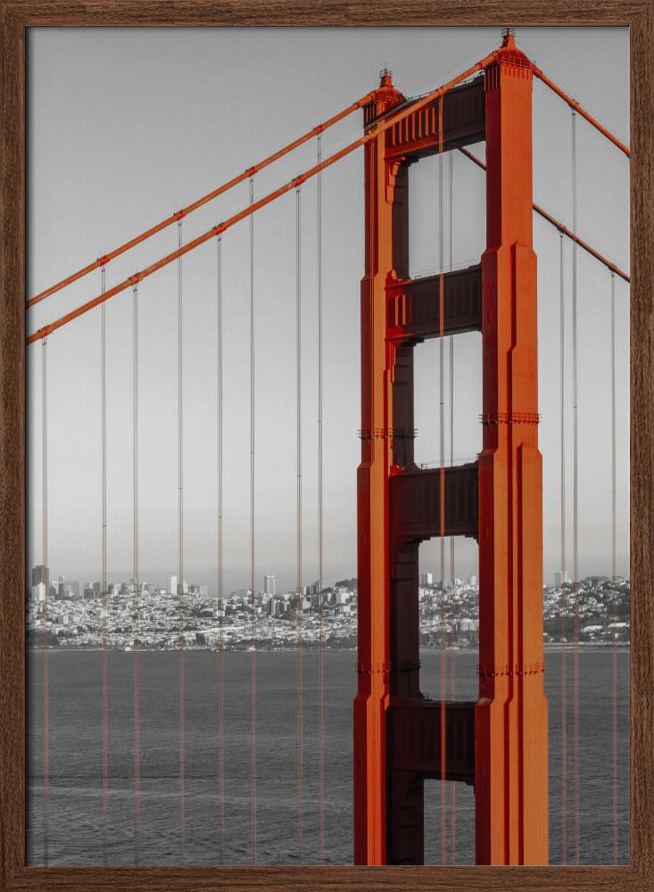 Golden Gate Bridge in Detail Poster