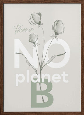 There is no planet B Poster