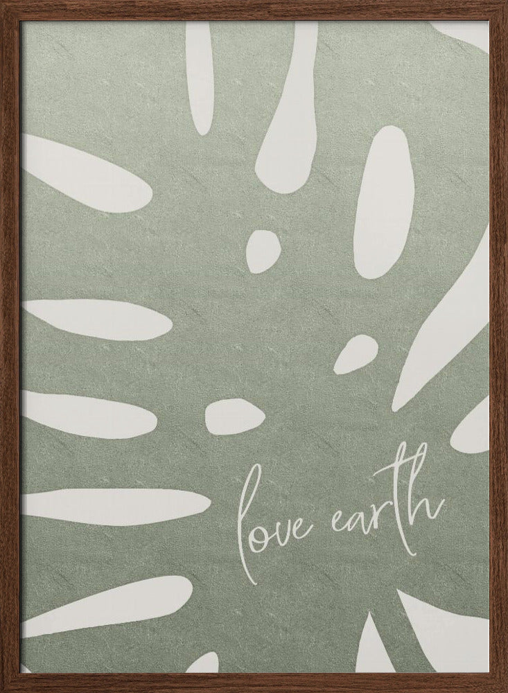 Love earth Poster