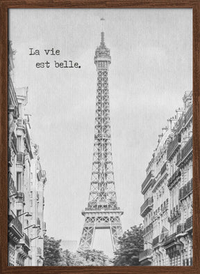 PARIS La vie est belle Poster