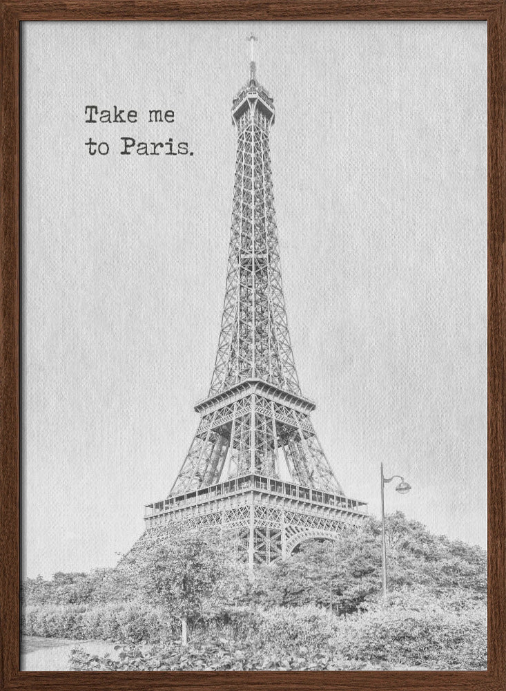 Take me to Paris Poster