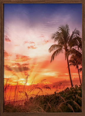 BONITA BEACH Picturesque Sunset Poster