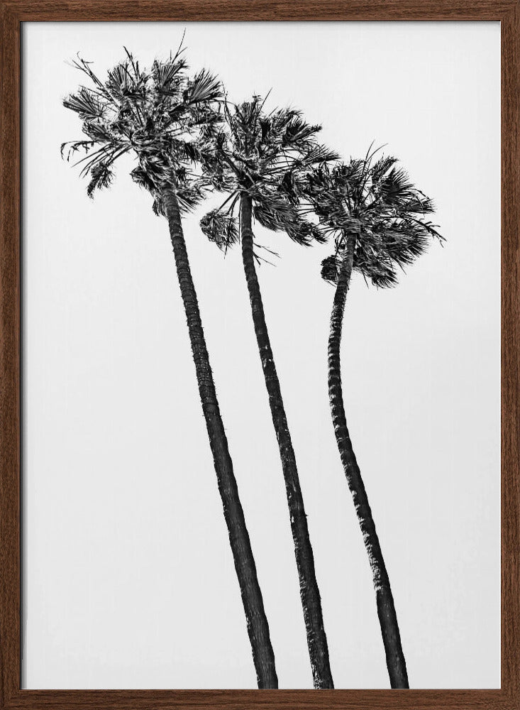 Summer idyll with palm trees Poster