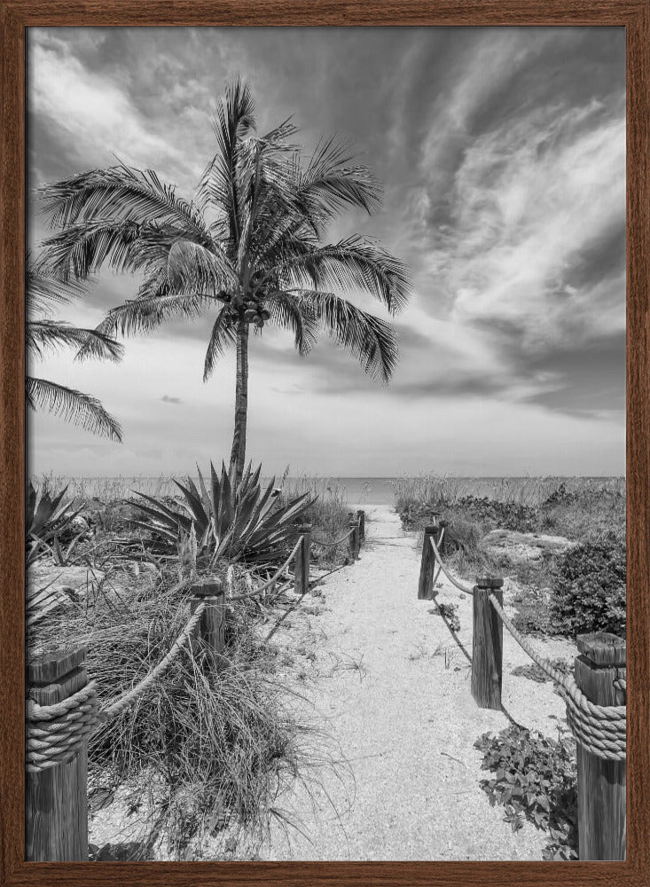 Path to the beach - monochrome Poster