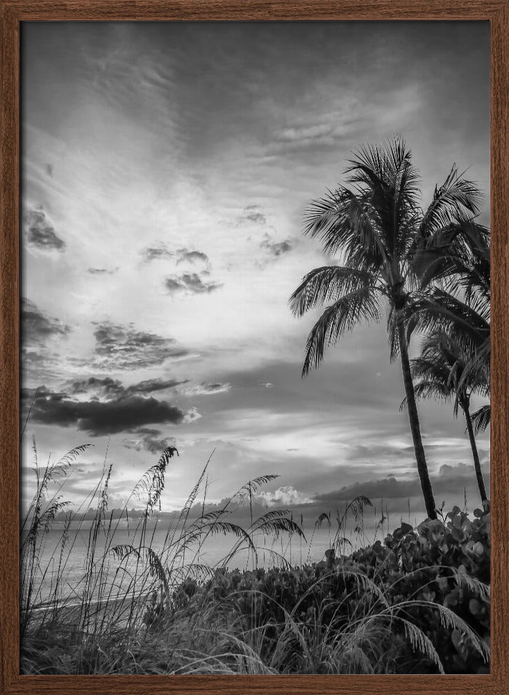 BONITA BEACH Evening mood | monochrome Poster