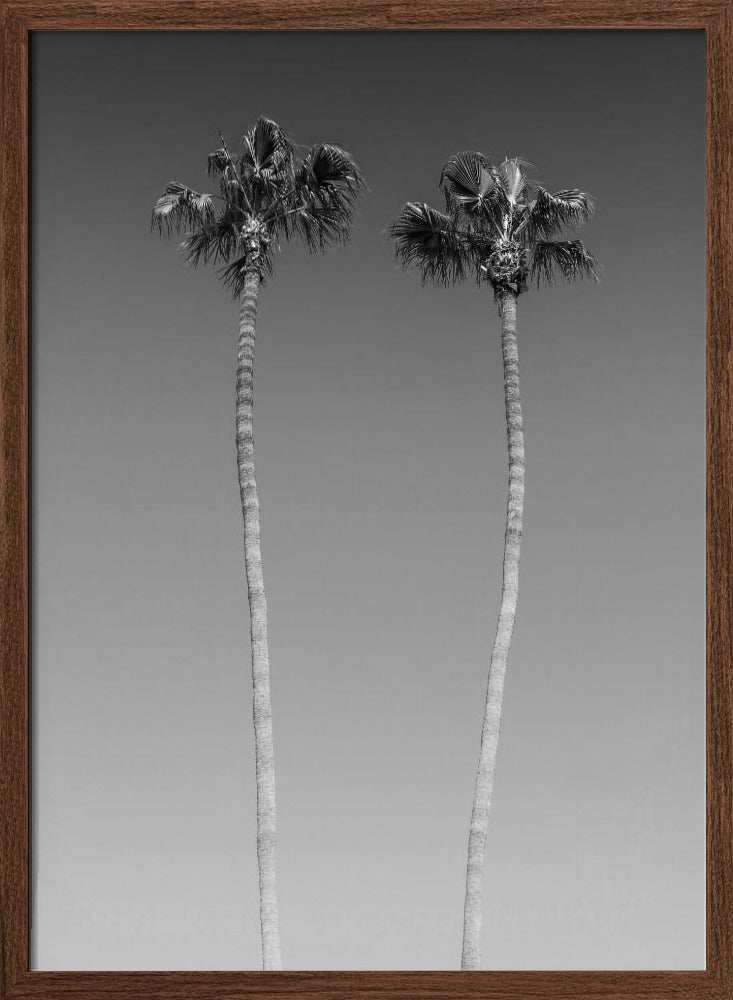 Idyllic Palm trees | Monochrome Poster