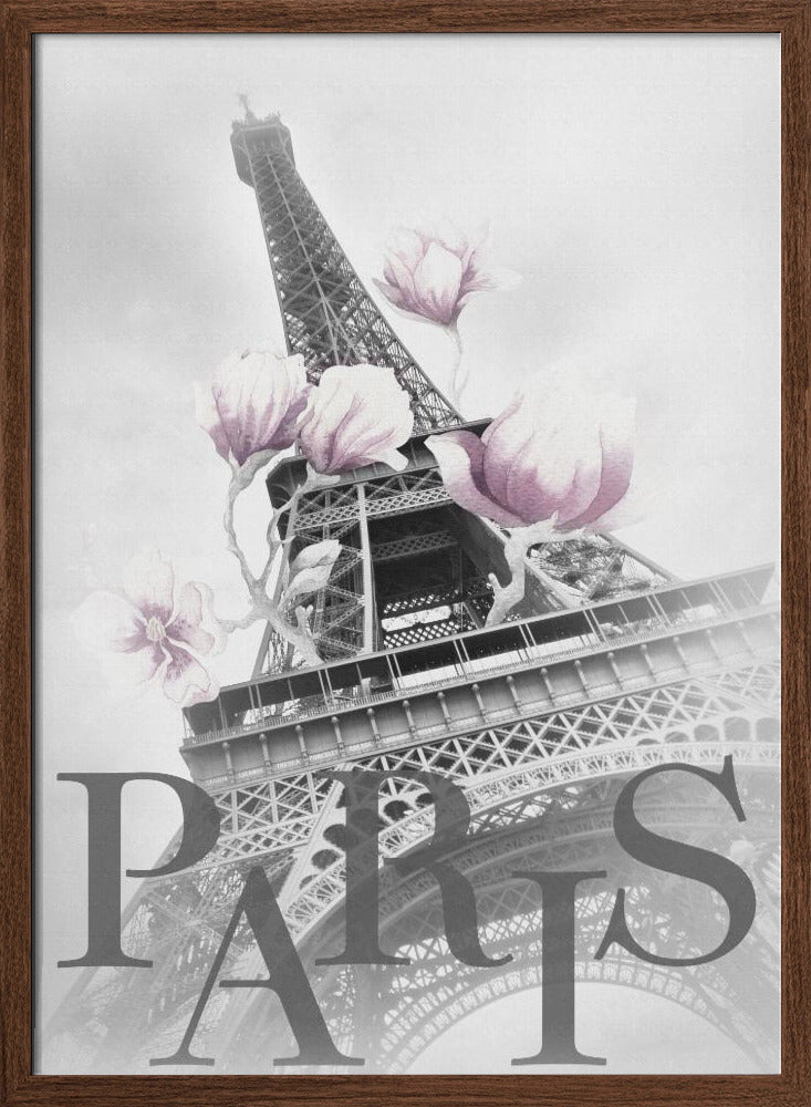 PARIS Magnolia Eiffel Tower Poster