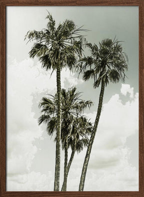 Palm Trees and sky | Vintage Poster