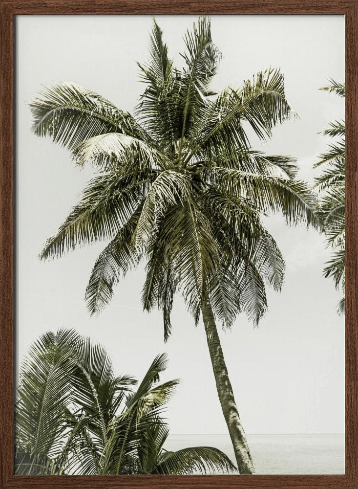 Palm Trees by the ocean | Vintage Poster