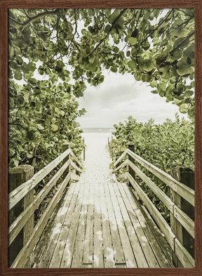 Bridge to Miami Beach Poster