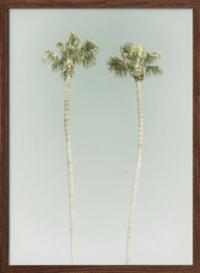 Minimalist Palm Trees Poster