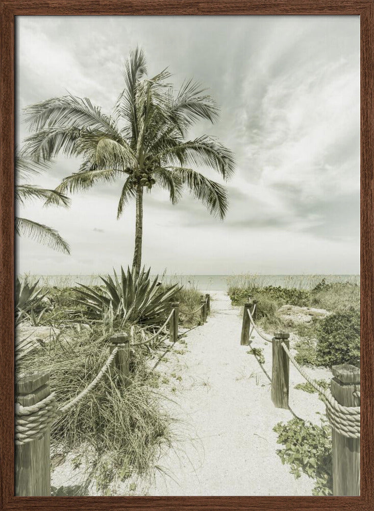 Vintage path to the beach Poster