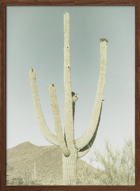 SAGUARO NATIONAL PARK Vintage Giant Saguaro Poster