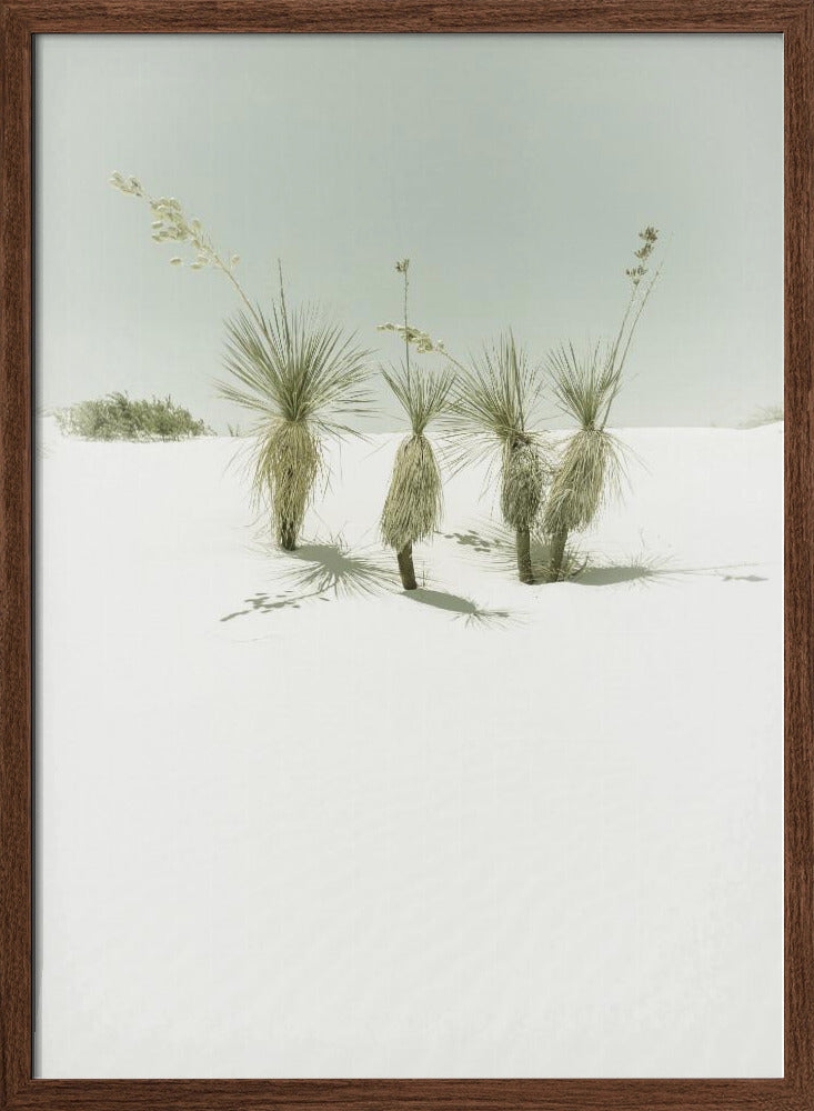 WHITE SANDS Vintage scenery Poster