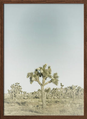 Vintage Joshua Tree National Park Poster