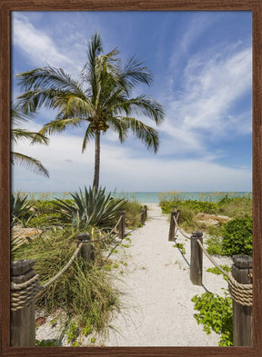 Path to the beach Poster