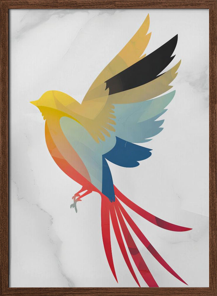 Colorful Bird Poster