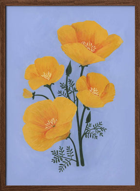 Bouquet of orange California poppies Poster