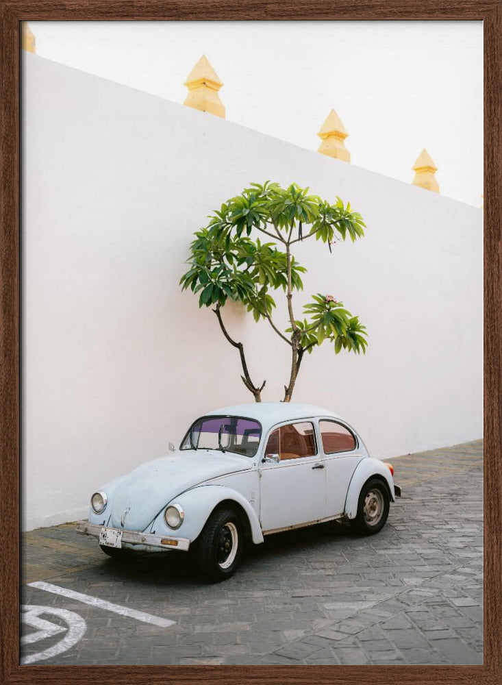 Pastel Volskwagen Beetle in the streets of Oaxaca Mexico Poster