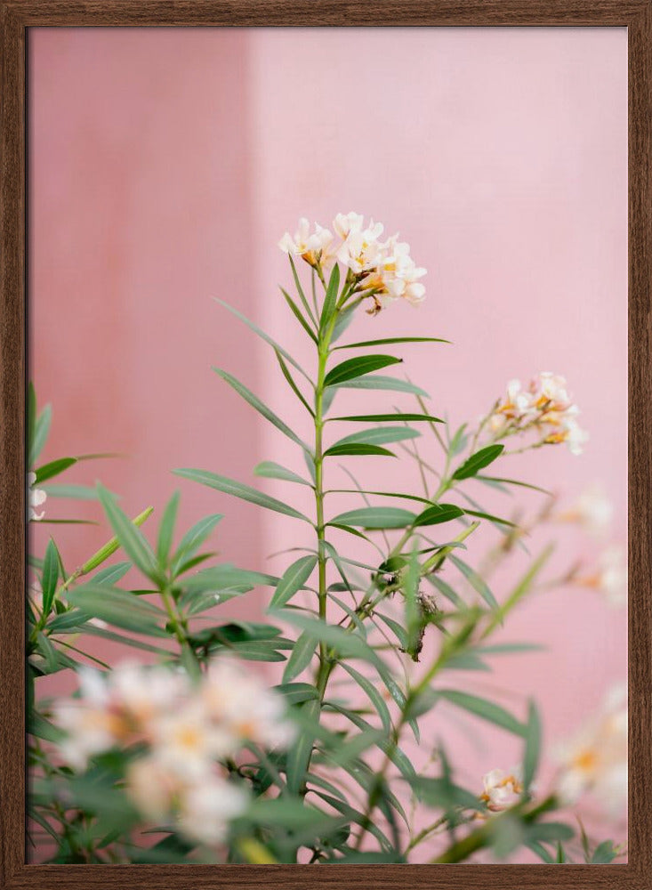 Soft greens and Pink | Botanical Oaxaca Mexico Poster