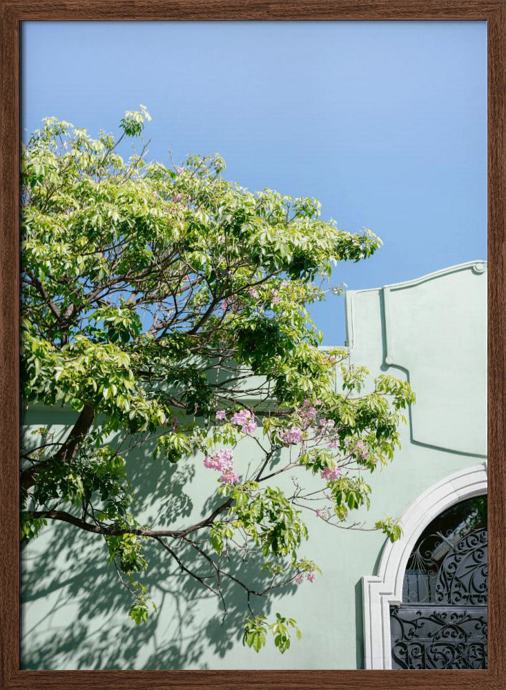 Pastel Oaxaca Architecture | Mexico travel photography Poster