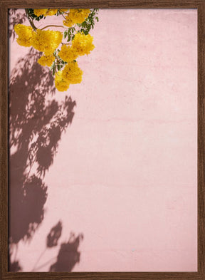 Yellow and Pink | Oaxaca Mexico Poster