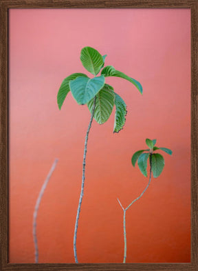 Green on Orange | Oaxaca Botanical vibes Poster