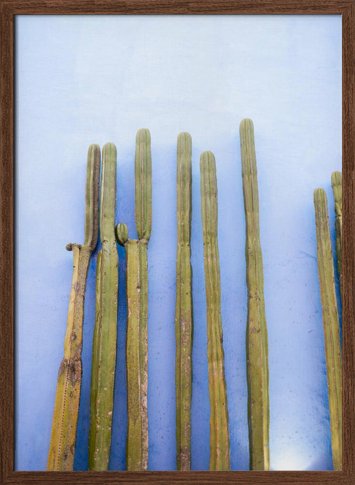 Tall Cacti on Blue | Oaxaca Mexico Travel Poster