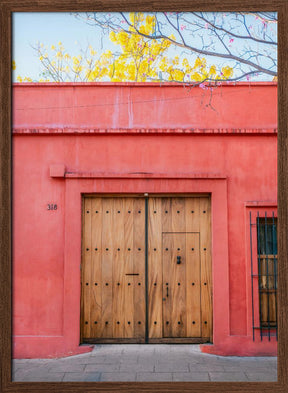 The Wooden Door | Botanical Oaxaca Mexico Poster