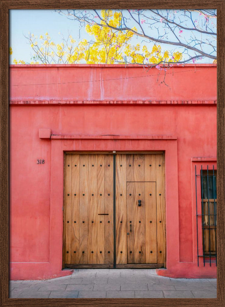 The Wooden Door | Botanical Oaxaca Mexico Poster