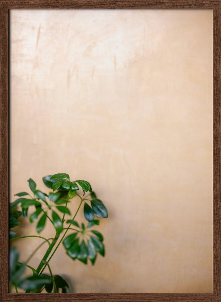 Botanical Oaxaca Scene | Mexico travel photography Poster