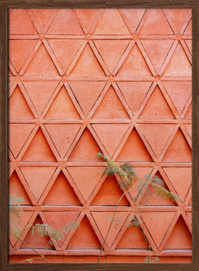 Coral details of Oaxacan Architecture in Mexico Poster