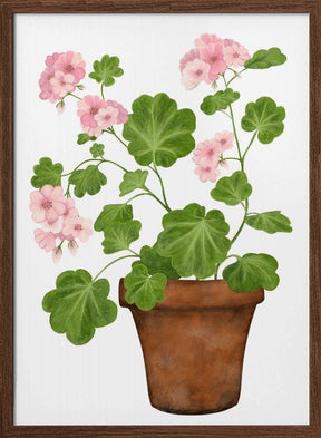 Pink Geranium Poster