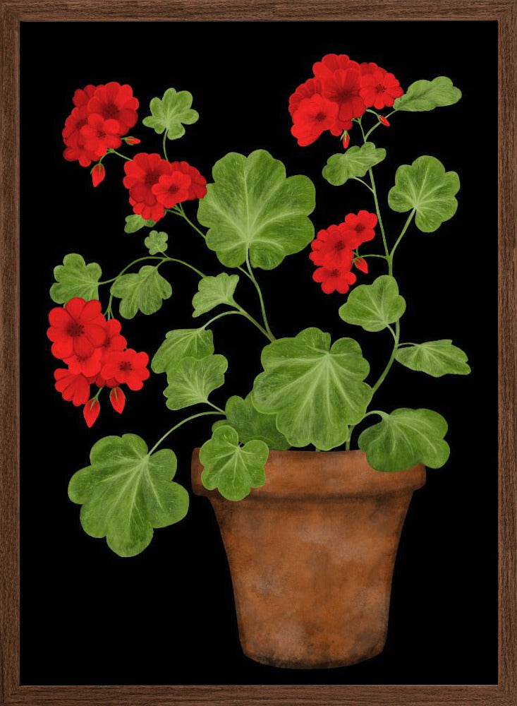 Red Geranium Poster