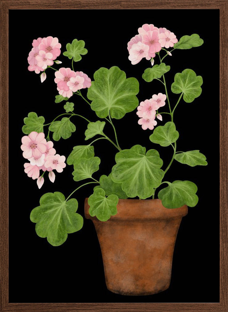 Pink Geranium Poster