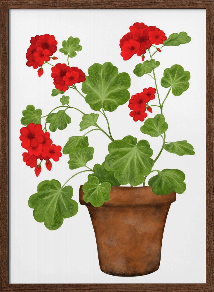 Red Geranium Poster