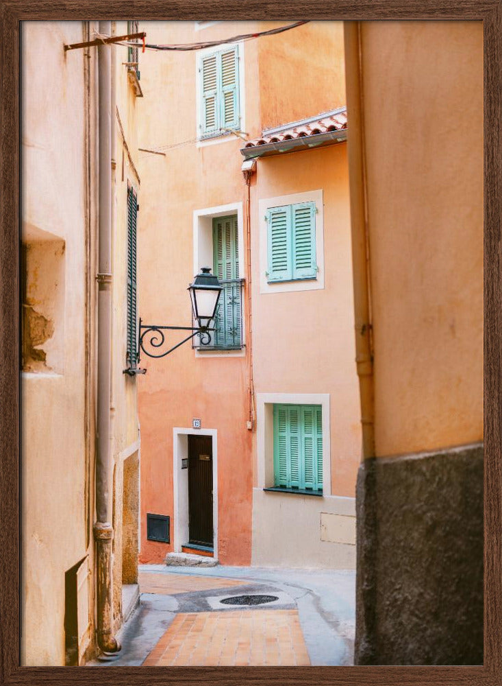 Coral Cote d Azur | Menton | South of France Poster