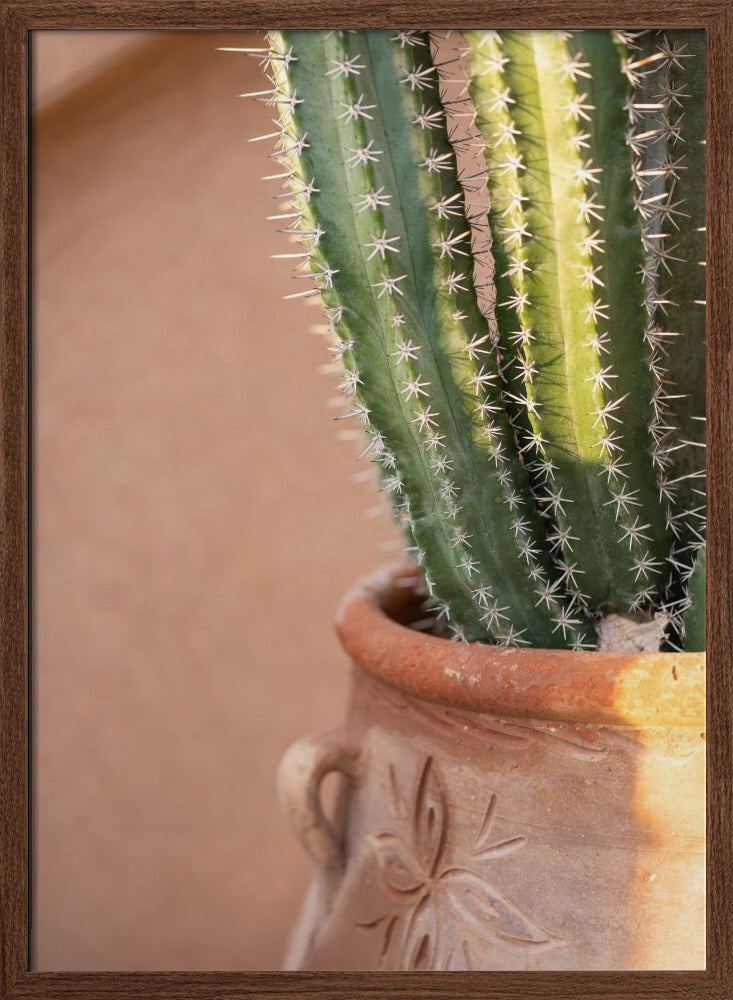 Green On Orange | Marrakech Travel Photography Poster