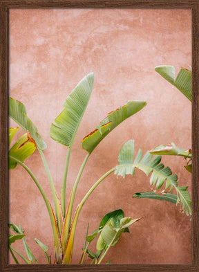 Palms of Ourika Morocco Poster