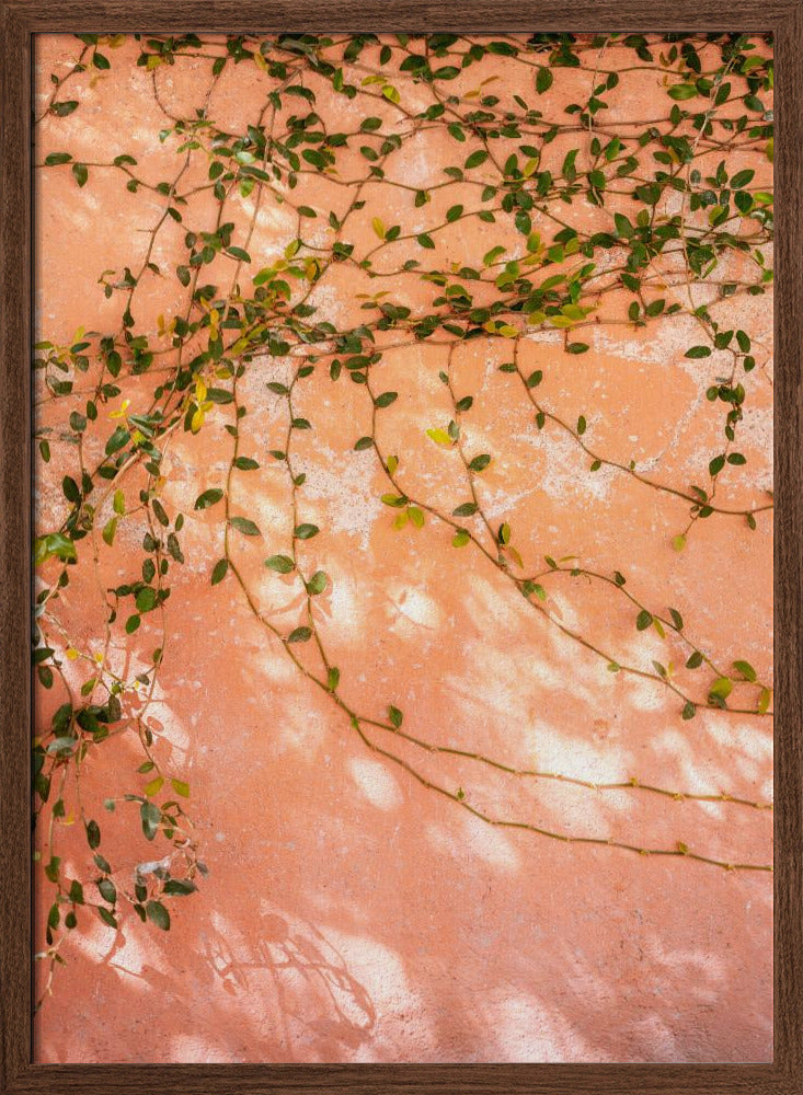 Botanical San Miguel de Allende | Mexico travel photography Poster