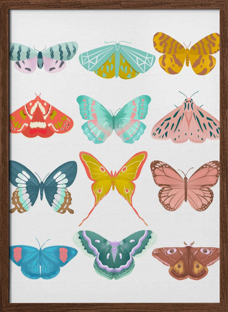 Butterfly Poster