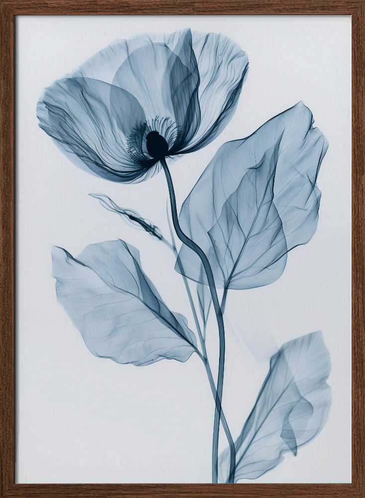 X-Rayed Flower Poster