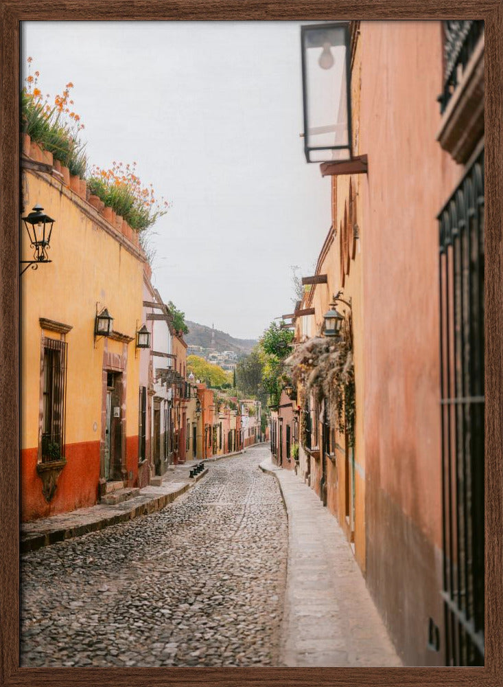 San Miguel de Allende | Mexico travel photography Poster