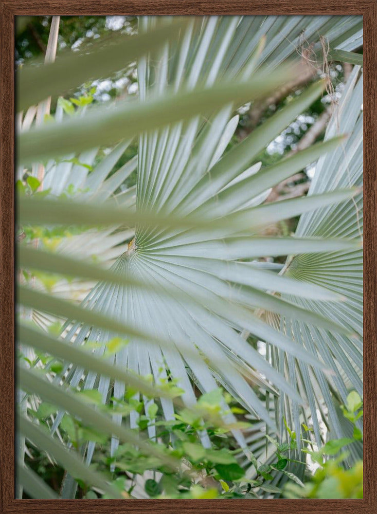 Shades of Green  Botanical Mexico City Poster